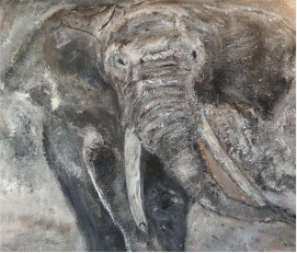 Elefant 4